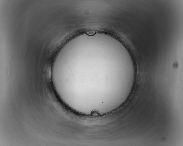 X0000115480021200911201850