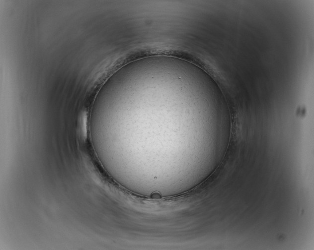 X0000115480022200911201850