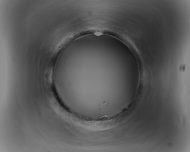 X0000115480023200911201850