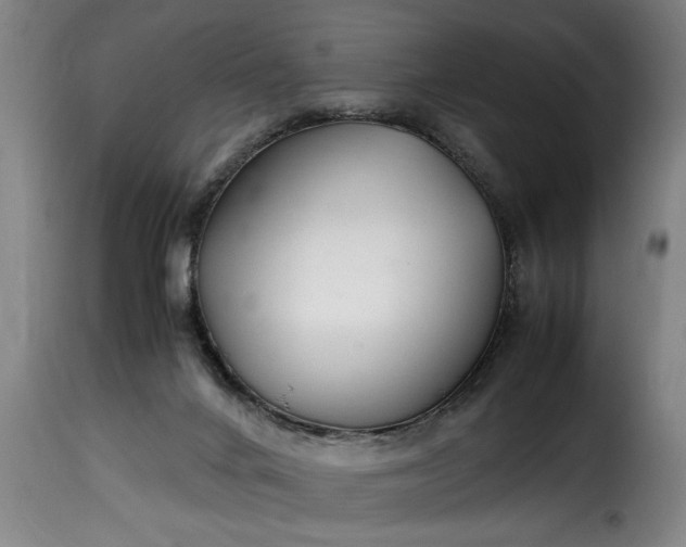 X0000115480024200911201850