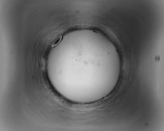 X0000115480025200911201850