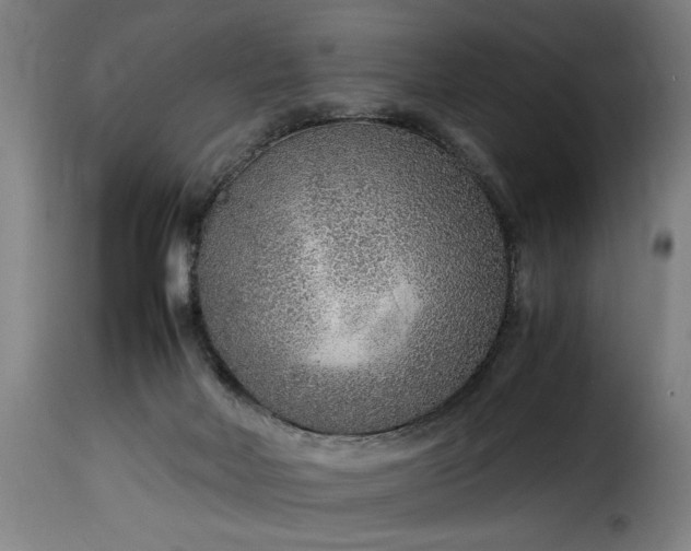 X0000115480026200911201850