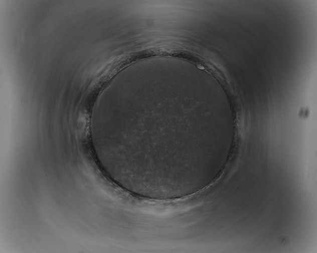 X0000115480029200911201850