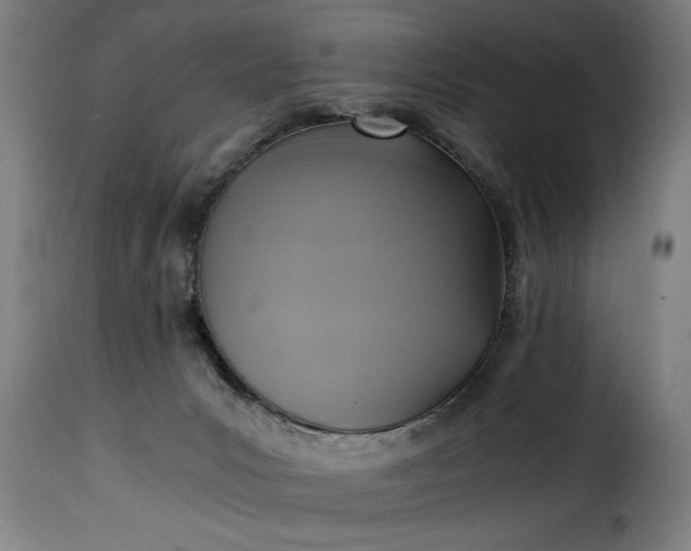 X0000115480031200911201850