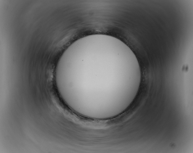 X0000115480032200911201850