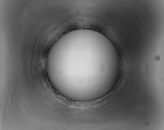 X0000115480033200911201850