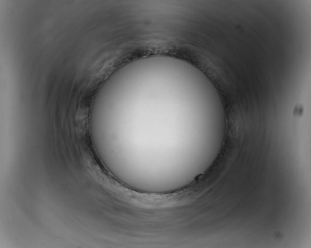 X0000115480034200911201850