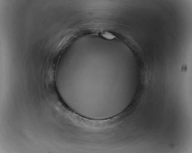 X0000115480035200911201850