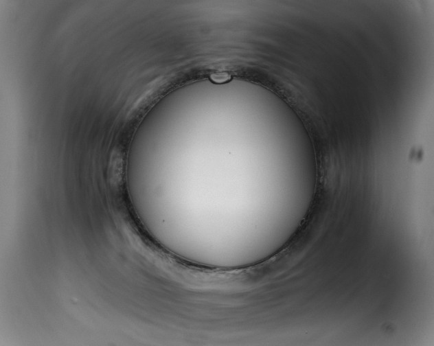 X0000115480036200911201850