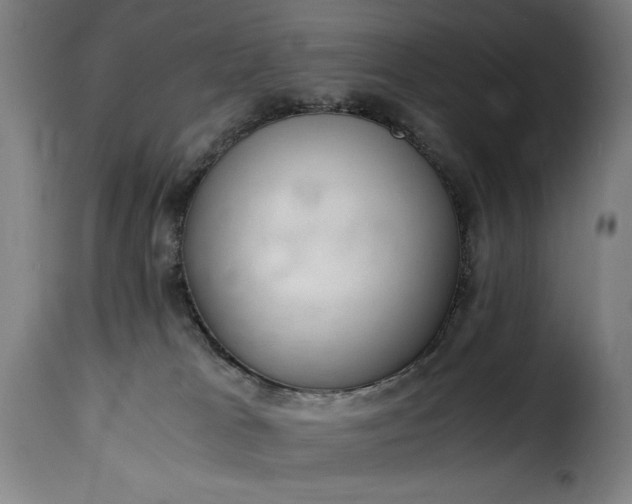 X0000115480037200911201850