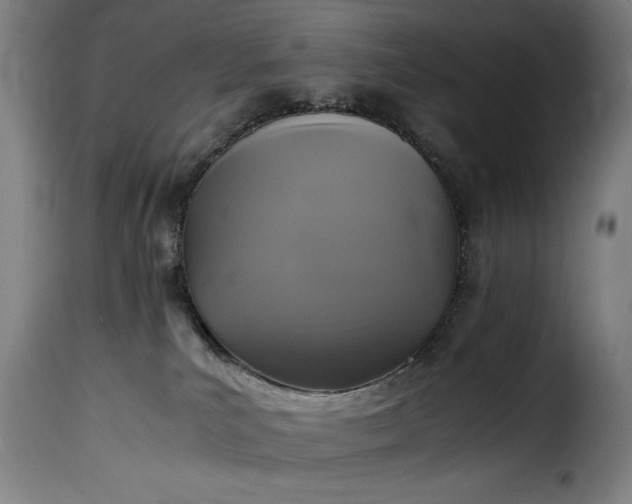 X0000115480039200911201850