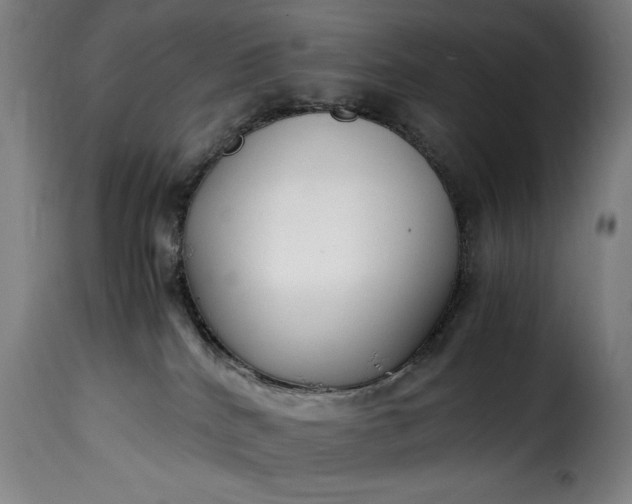 X0000115480040200911201850