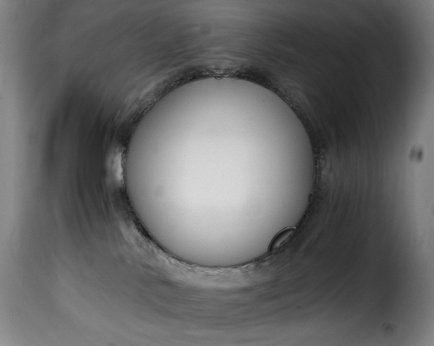 X0000115480042200911201850