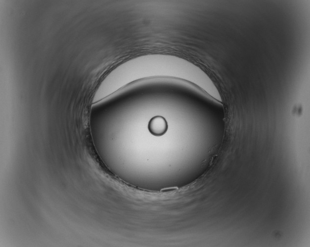 X0000115480043200911201850