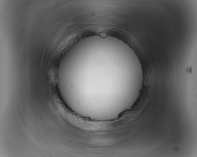 X0000115480044200911201850