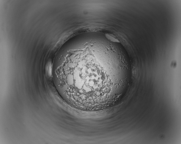 X0000115480046200911201850