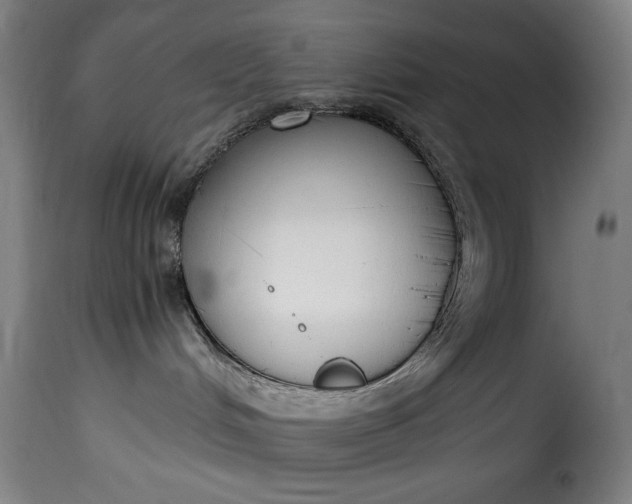 X0000115480048200911201850