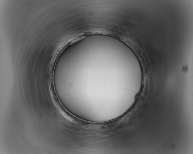 X0000115480049200911201849