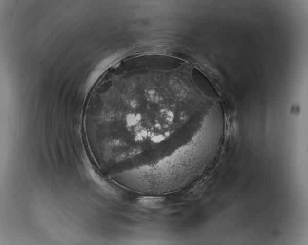 X0000115480051200911201849