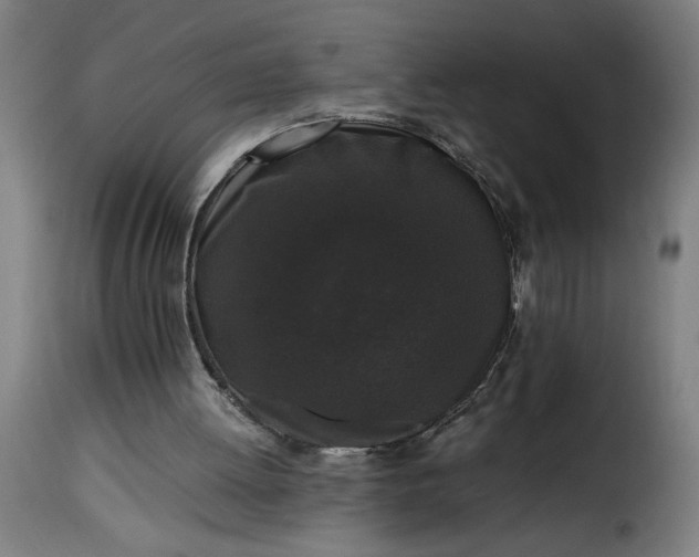 X0000115480052200911201849