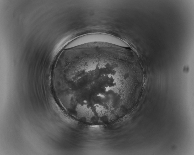 X0000115480053200911201849