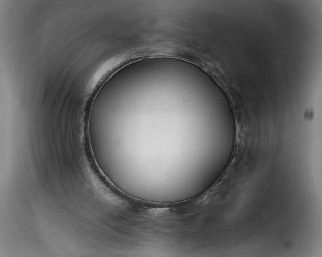 X0000115480054200911201849