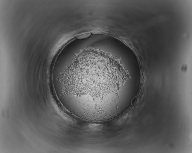 X0000115480055200911201849