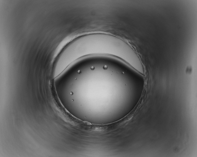 X0000115480056200911201849