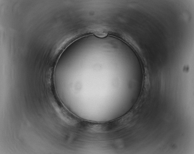 X0000115480058200911201849