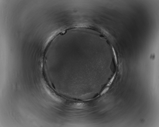 X0000115480059200911201849