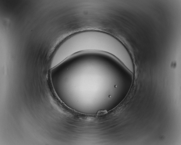 X0000115480060200911201849