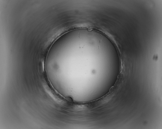 X0000115480061200911201849