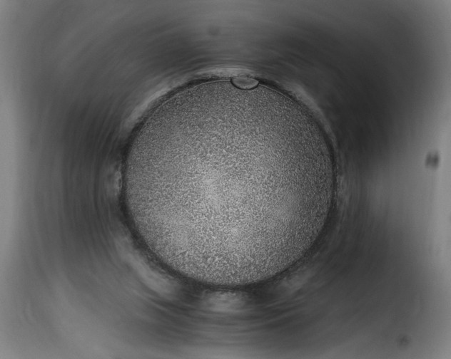 X0000115480063200911201849