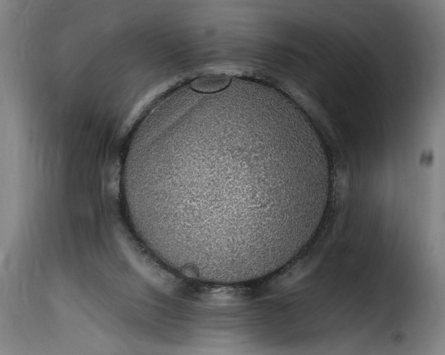 X0000115480064200911201849