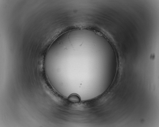 X0000115480065200911201849