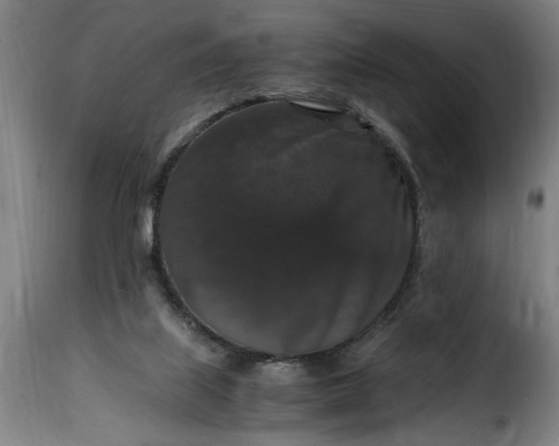 X0000115480067200911201849