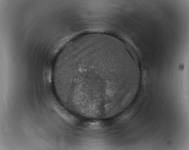 X0000115480068200911201849