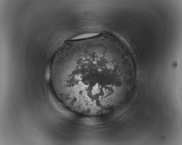 X0000115480069200911201849