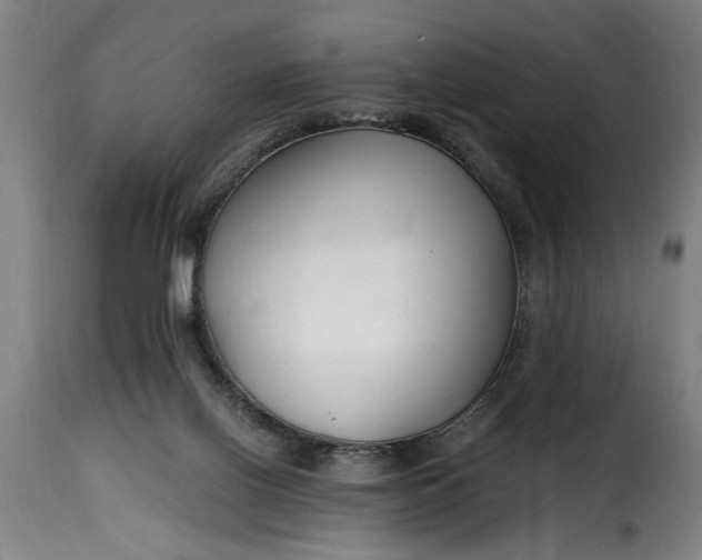 X0000115480070200911201849