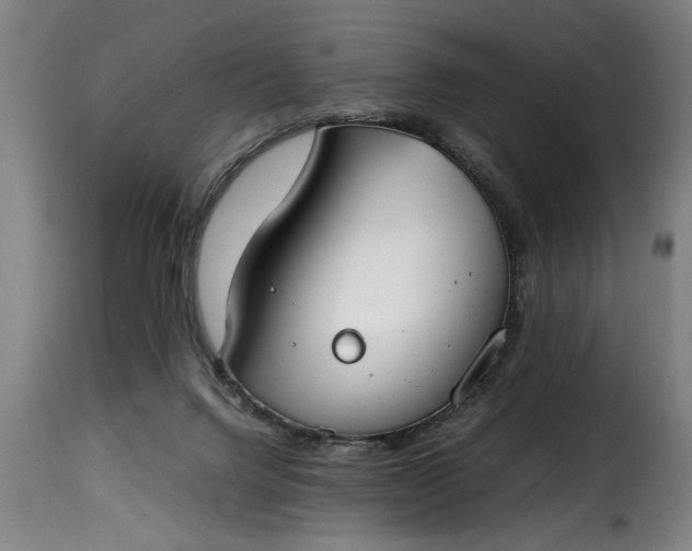 X0000115480072200911201849