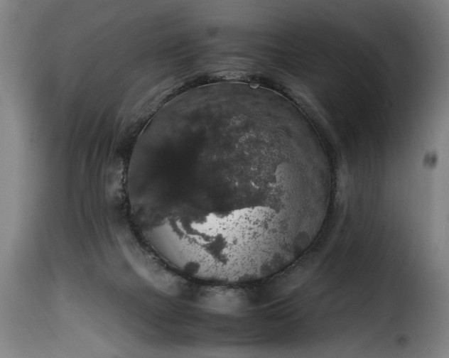 X0000115480073200911201849