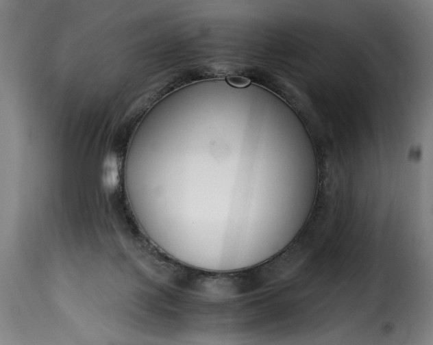 X0000115480075200911201849