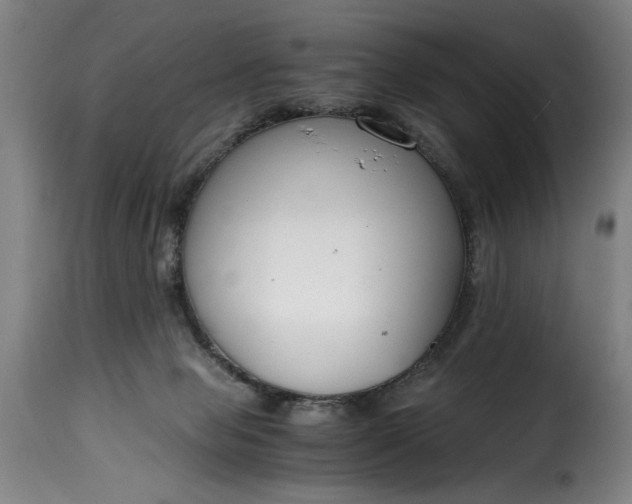 X0000115480077200911201849