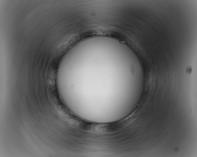 X0000115480078200911201849