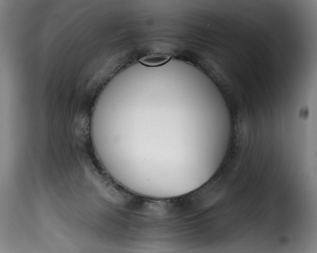 X0000115480079200911201849