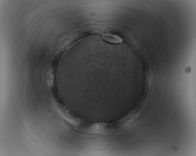 X0000115480080200911201849