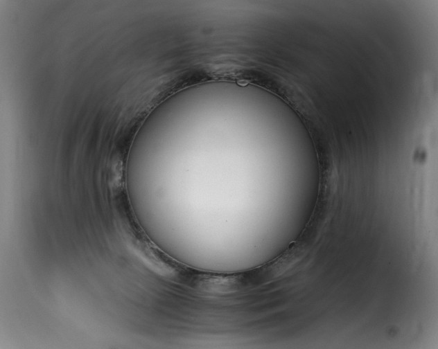 X0000115480081200911201849