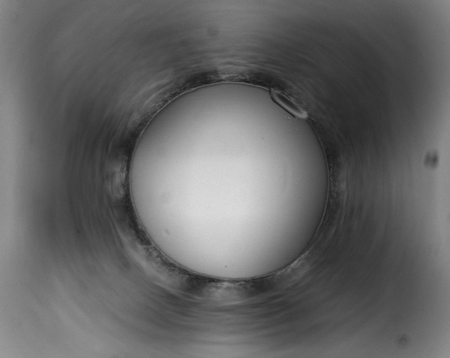 X0000115480082200911201849