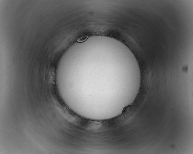 X0000115480083200911201849