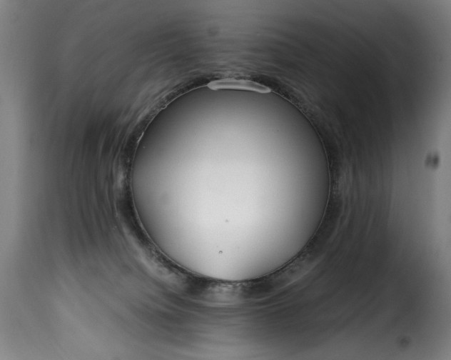 X0000115480084200911201849